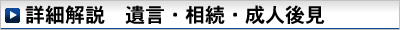 詳細解説　遺言・相続・成年後見